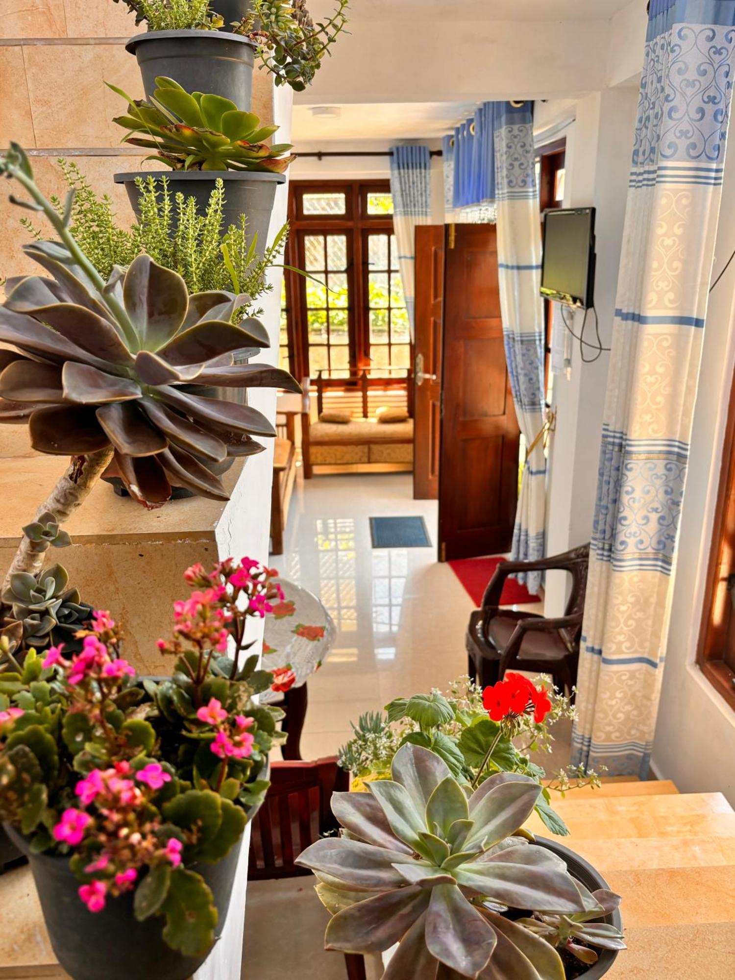 Shiny View Hotel Nuwara Eliya Exterior photo
